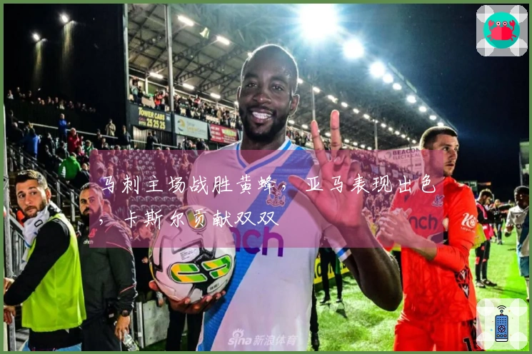 马刺主场战胜黄蜂，亚马表现出色，卡斯尔贡献双双